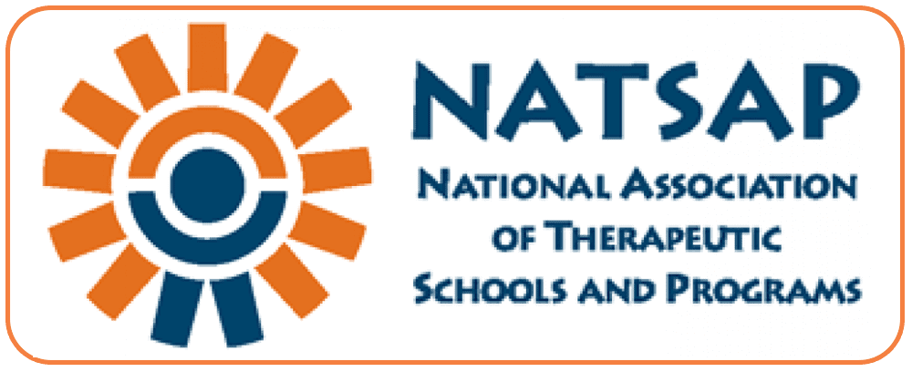 NATSAP-Logo