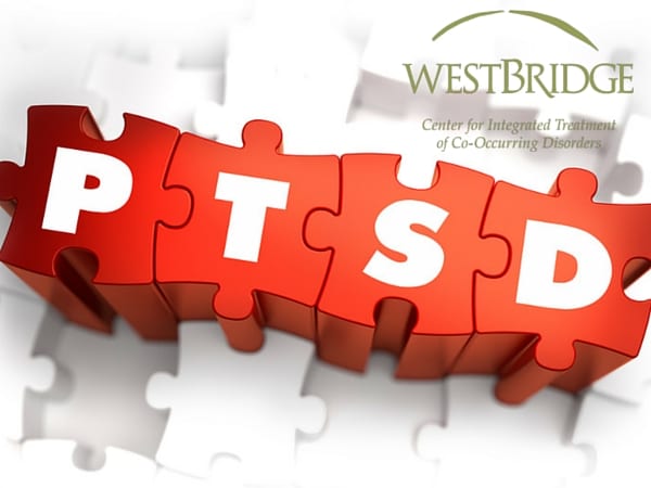 PTSD Awareness Red PTSD Puzzle.WBBlog7