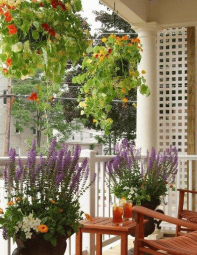 The Commons Porch