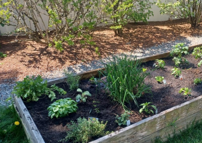 Common Garden